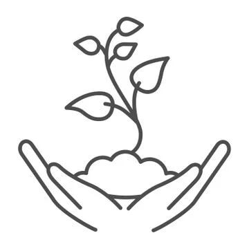 Small sprout with first leaves in soil in caring hands thin line icon, gardening Stock Illustration