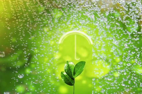 Small sprout is protected by umbrella from the spring rain. Protection, secur Stock Photos