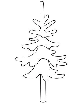 Small Spruce, coniferous evergreen tree - vector linear picture for coloring Stock Illustration
