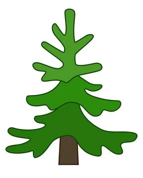Small Spruce, coniferous evergreen tree - vector full color picture. Stock Illustration