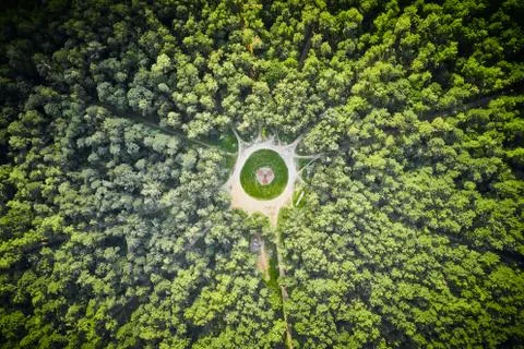 Small square in the middle of dense forest. Top down view. Alleys all around. Stock Photos