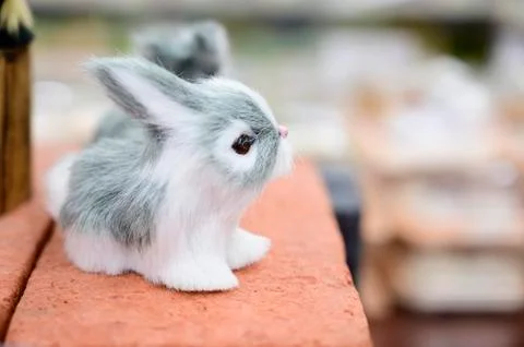 A small squirrel simulation doll Stock Photos