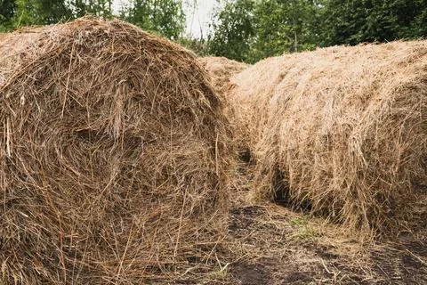 The small stack oh hay in the village Stock Photos