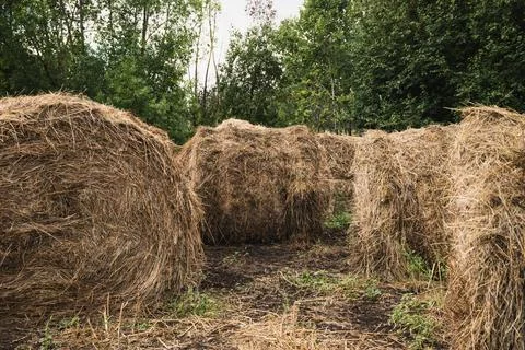 The small stack oh hay in the village Stock Photos