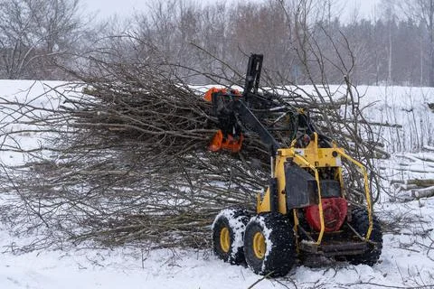 Small stand-on mini skid steer with grapple full of wooden branches Stock Photos
