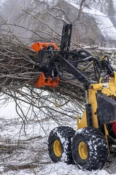 Small stand-on mini skid steer with grapple full of wooden branches mini skid Stock Photos
