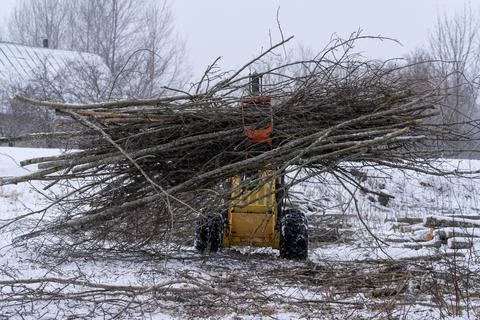 Small stand-on mini skid steer with grapple full of wooden branches Stock Photos