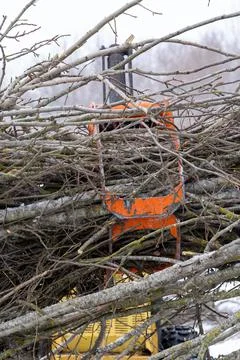 Small stand-on mini skid steer with grapple full of wooden branches Stock Photos