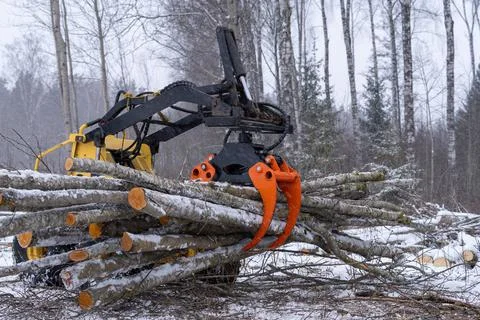 Small stand-on mini skid steer with grapple full of wooden logs Stock Photos