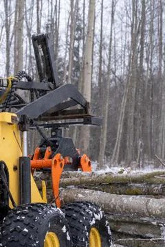 Small stand-on mini skid steer with grapple full of wooden logs Stock Photos