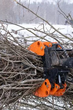 Small stand-on mini skid steer with grapple full of wooden branches Stock Photos