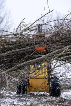 Small stand-on mini skid steer with grapple full of wooden branches Stock Photos