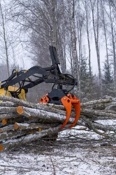 Small stand-on mini skid steer with grapple full of wooden logs Stock Photos
