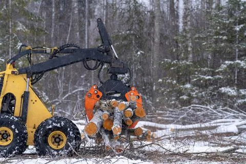 Small stand-on mini skid steer with grapple full of wooden logs Stock Photos
