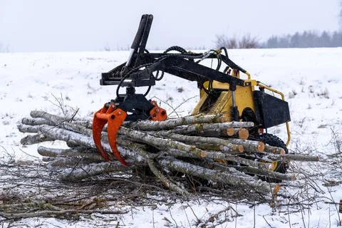 Small stand-on mini skid steer with grapple full of wooden logs Stock Photos