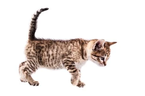 Small steps Stock Photos