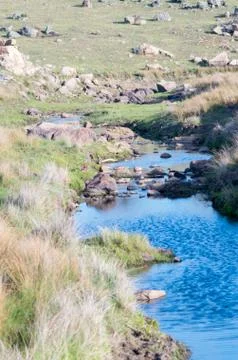 Small still reflective creek at dusk Stock Photos