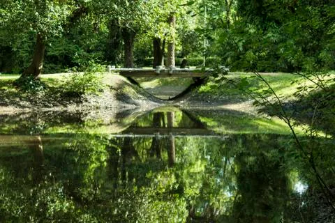 Small stone bridge in the forest Stock-Fotos