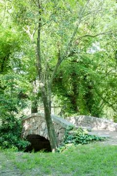 Small stone bridge in the forest. Stock Photos