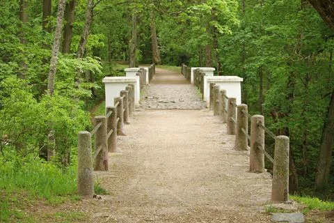 Small stone bridge over a small river among the green trees of the forest Foto stock
