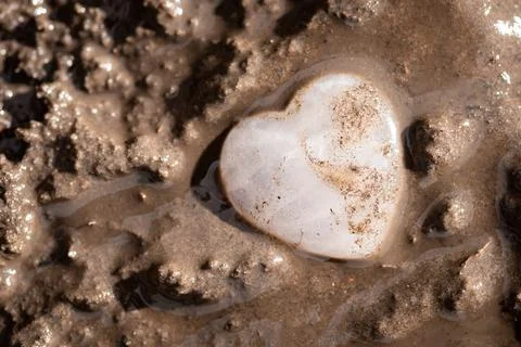 Small stone in grey mud soil Stock Photos