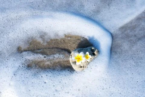 A small stone of an interesting smooth form is washed by waves on the beach.  Foto stock