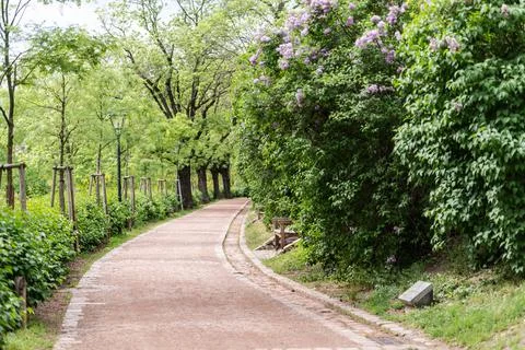 Small stone park path Stock Photos