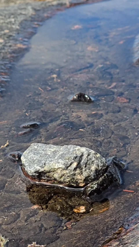 Small Stone in Rainwater Puddle on Granite Rock, Vertical Stock Footage 344895577