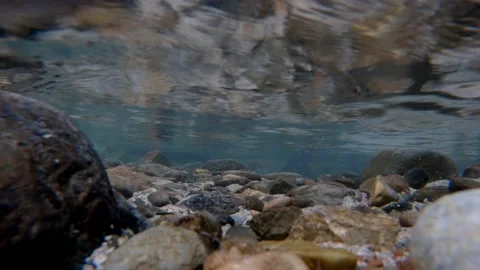 Small stones and sand particles under clear and clean water Stock Footage 171532961