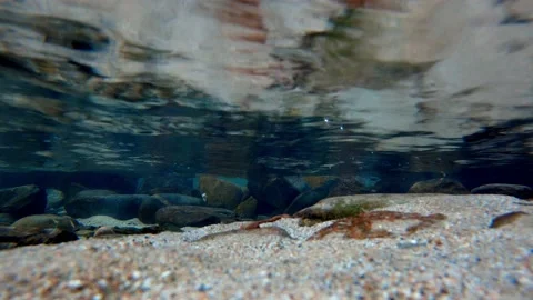 Small stones and sand particles under clear and clean water Stock Footage 171532972