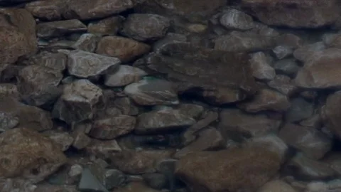 Small stones in calm river Stock Footage 117939873