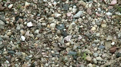 Small stones Stock Footage 10678631