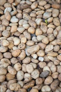 Small stones. Stock Photos