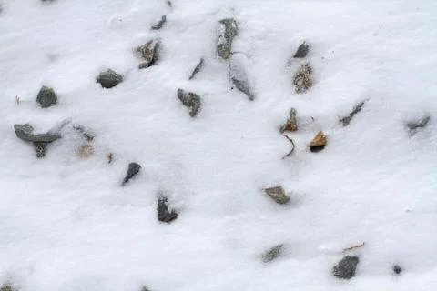 Small stones on the surface of the snow Stock Photos