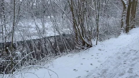 Small stones while the area is covered with snow in winter Stock Footage 147645690