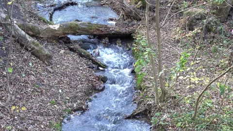 Small stormy river flowing in the forest. Clear stream. Stock-Footage 254854468