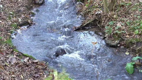Small stormy river flowing in the forest. Clear stream. 스톡 동영상 254854566