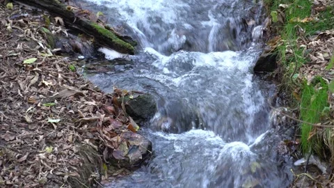 Small stormy river flowing in the forest. Clear stream. 스톡 동영상 254854577