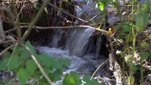 Small stormy river flowing in the forest. Clear stream. 스톡 동영상 254854607