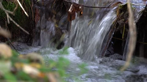 Small stormy river flowing in the forest. Clear stream. 스톡 동영상 254854634