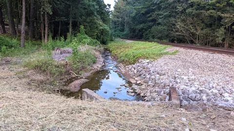 Small Stream Alongside Railroad 库存照片