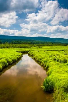 Small stream and distant mountains at canaan valley state park, west virginia Stock Photos
