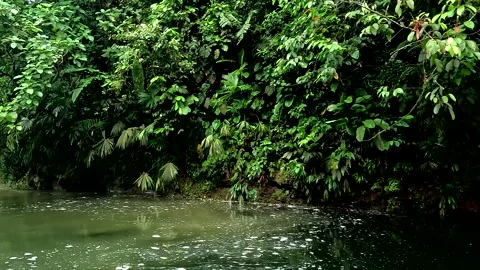 A small stream and large river are mingling with different colorations Vidéo 336913739