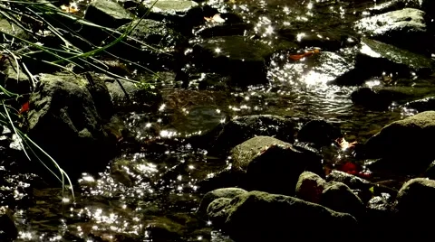 A small stream and sun Stock Footage 69055763