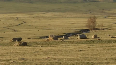 Small Stream and Tree in Steppe Landscape Kazakhstan Vidéo 333952398