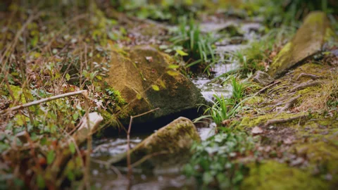 Small stream and waterfall flows between rocks, grasses and plants 2. 4K tripod Stock Footage 265687368