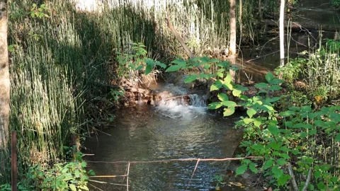 Small Stream and Waterfall with Old Fence Video stock 318378687
