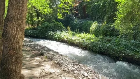 A small stream on the background of trees and the sun Stock Footage 225905982
