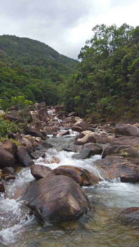 Small stream with big rocks vertical composition Stock Footage 120379640