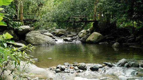 A small stream with a bridge over it Stock Photos
